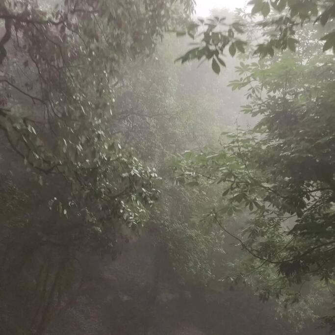 Shivalaya Cottage,Home Away From Home,Mehragaon,Bhimtal Bhowali Esterno foto